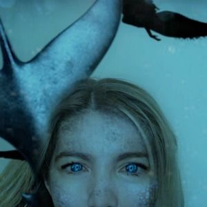 Meet your Posher, Liera